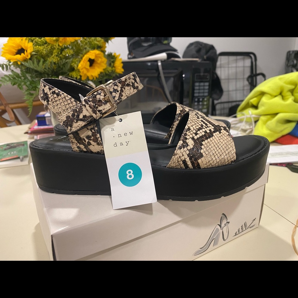 A New Day Shoes